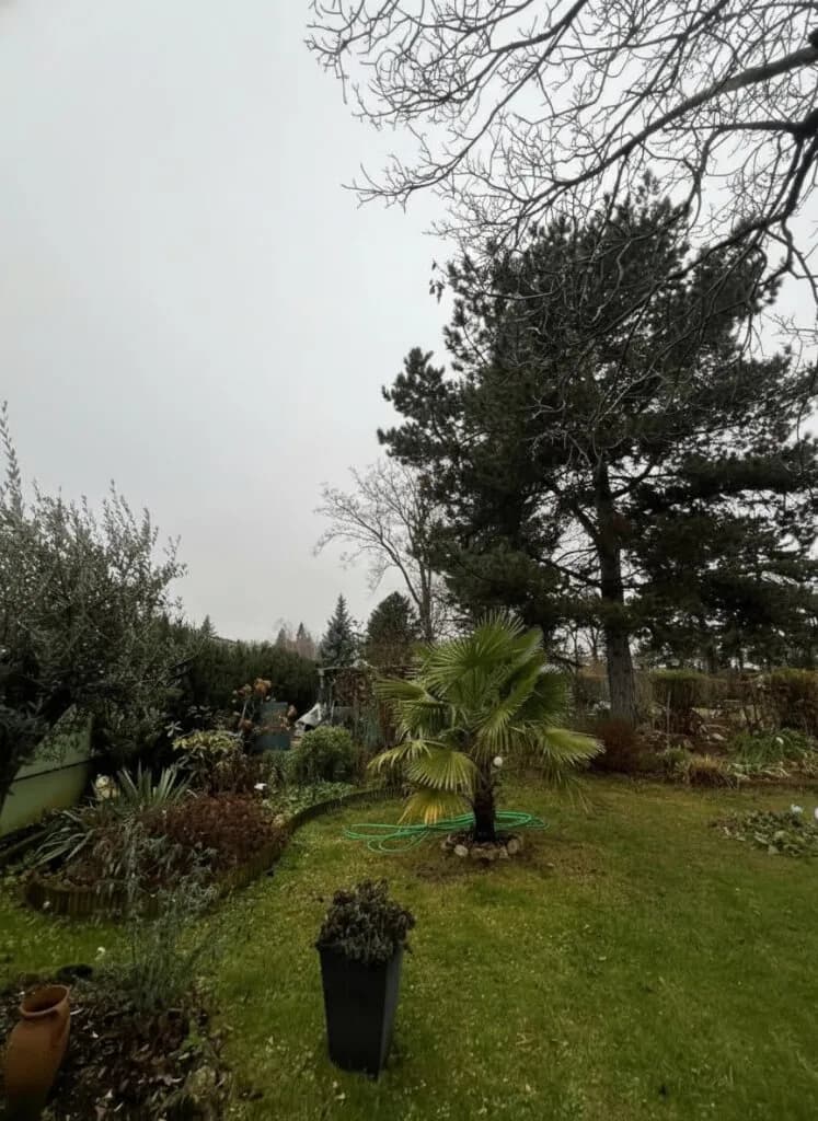 Grundstück kaufen in Gänserndorf – 1 216 m², € 278.000 – Bild 6 von 10
