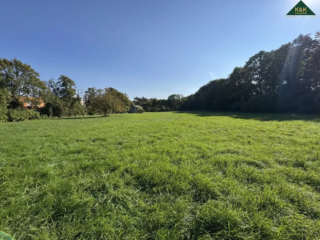 Immobilie kaufen in Mödling – 5 947 m², € 498.000 – Bild 4 von 6
