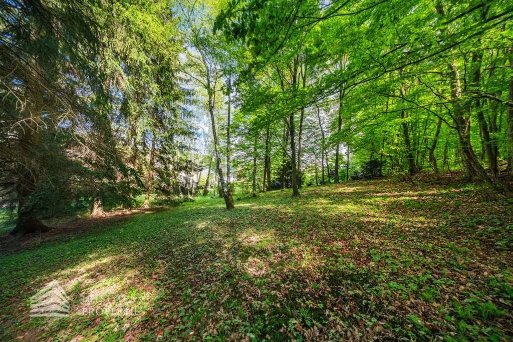 Grundstück kaufen in Mödling – 2 724 m², € 1.250.000 – Bild 16 von 22