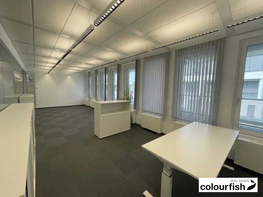 Gewerbeimmobilie mieten in Wien – 451 m², € 9.107 – Bild 9 von 10