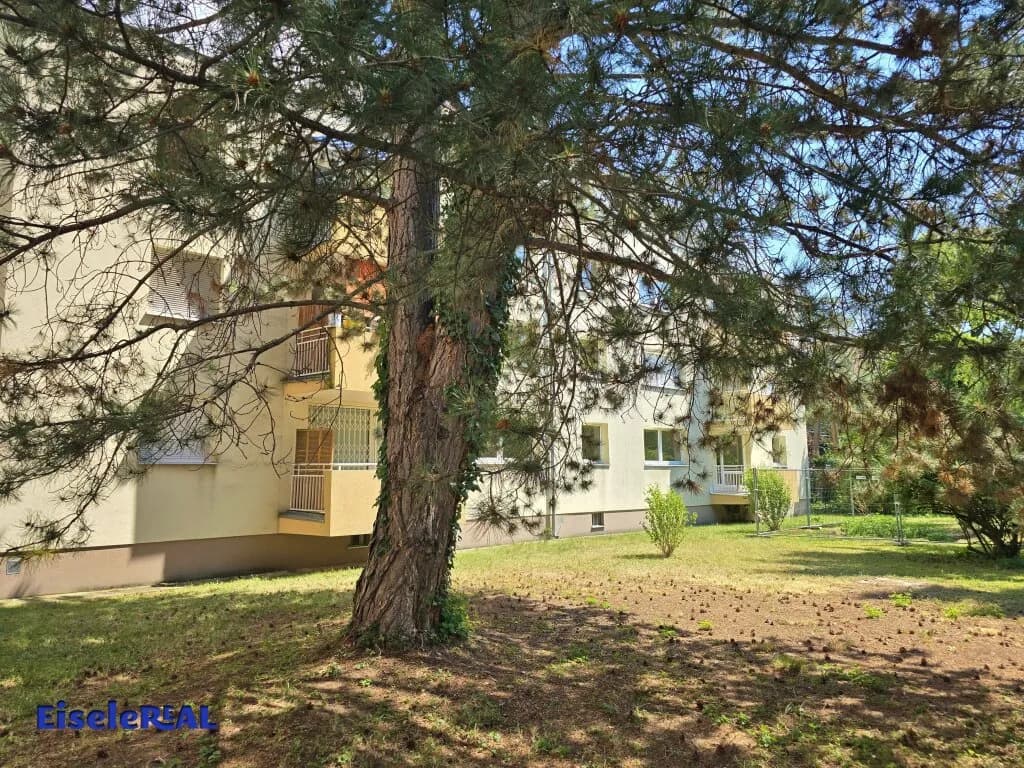 4-Zimmer-Wohnung mieten in Wien – 100 m², € 1.797 – Bild 25 von 27