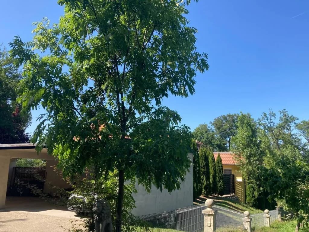 4-Zimmer-Haus kaufen in Leibnitz – 118 m², € 350.000 – Bild 12 von 34