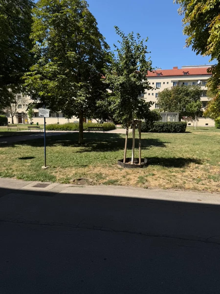 2-Zimmer-Wohnung mieten in Wien – 42 m², € 360 – Bild 19 von 22