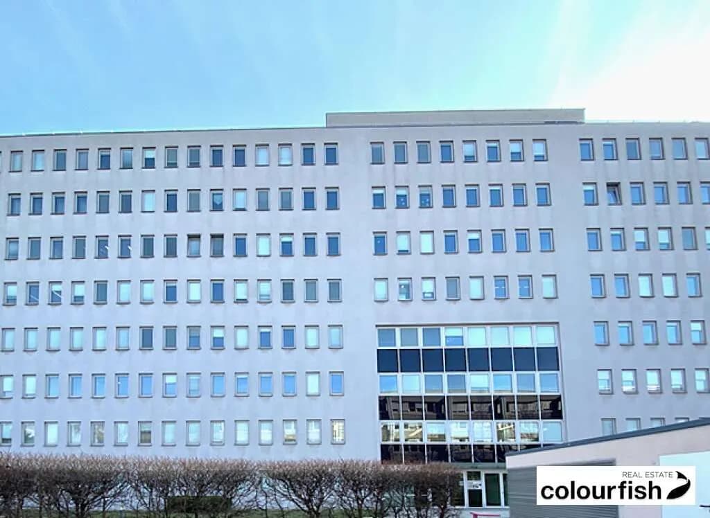 Gewerbeimmobilie mieten in Wien – 732 m², € 11.343 – Bild 3 von 13