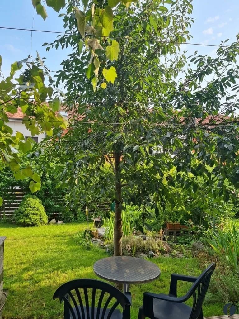 6-Zimmer-Haus mieten in Tulln – 164 m², € 2.561 – Bild 10 von 41