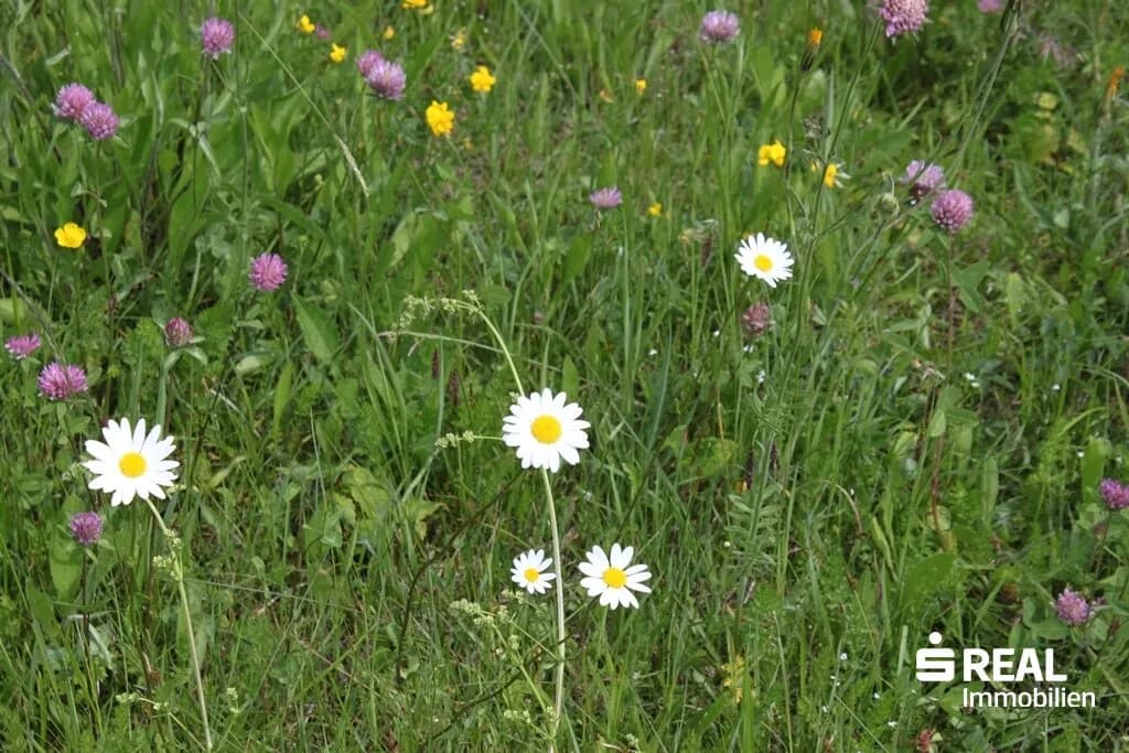 Grundstück kaufen in Schwaz – 633 m², € 380.000