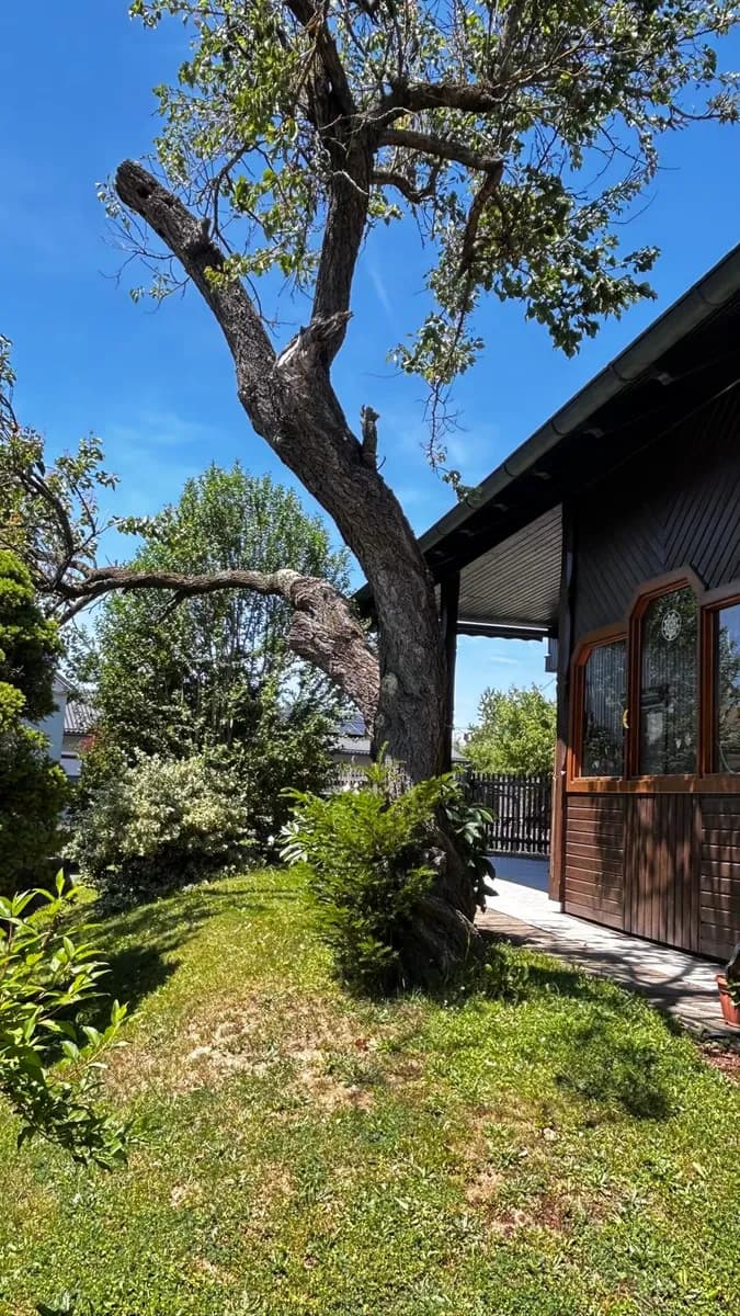 6-Zimmer-Haus kaufen in Südoststeiermark – 239,64 m², € 359.000 – Bild 9 von 52