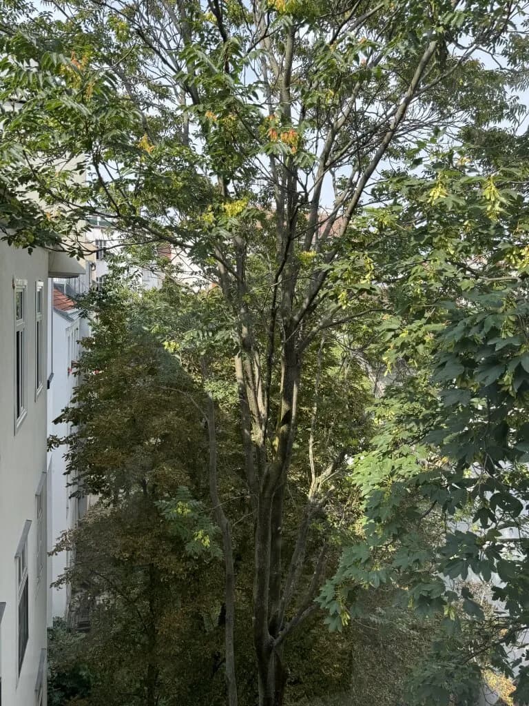 2-Zimmer-Wohnung kaufen in Wien – 64,3 m², € 375.000 – Bild 15 von 19