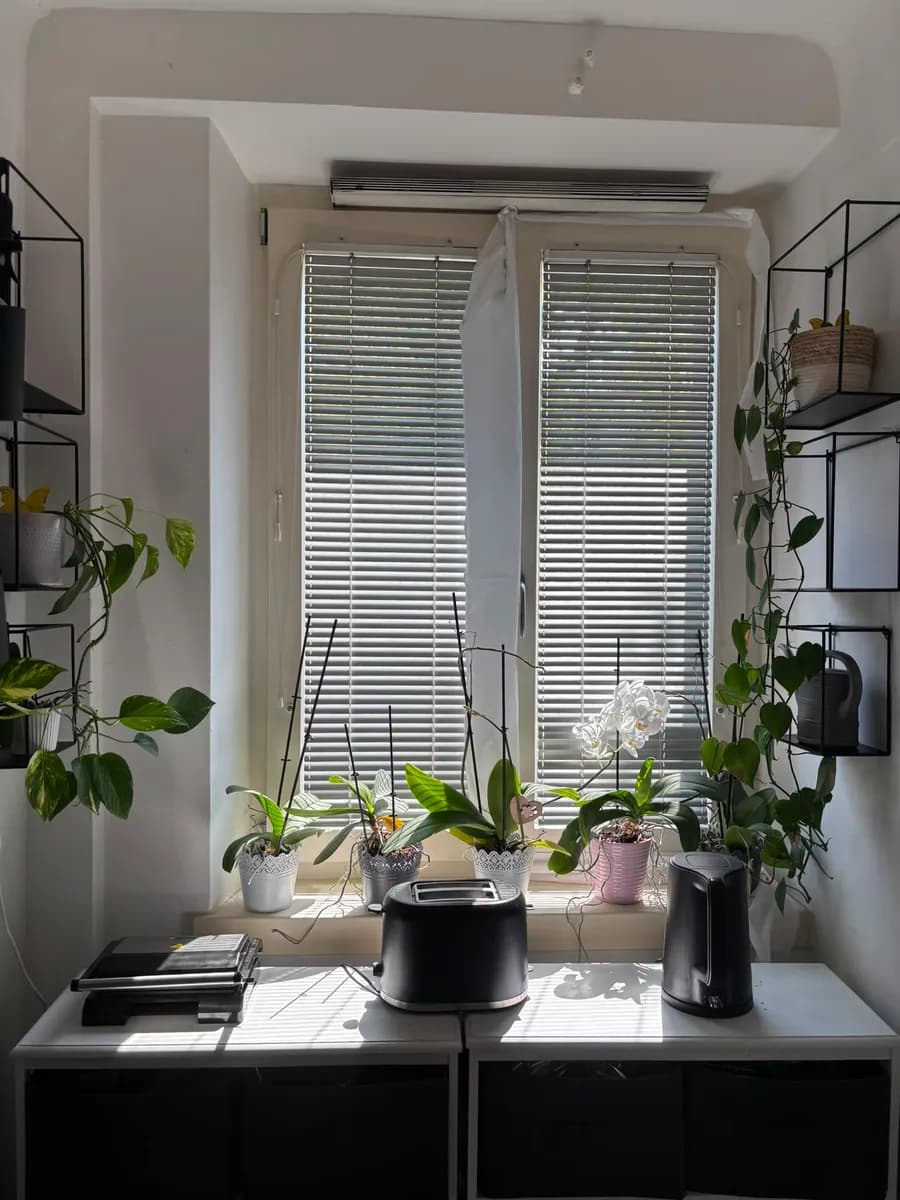 2-Zimmer-Wohnung mieten in Wien – 44 m², € 467 – Bild 9 von 15