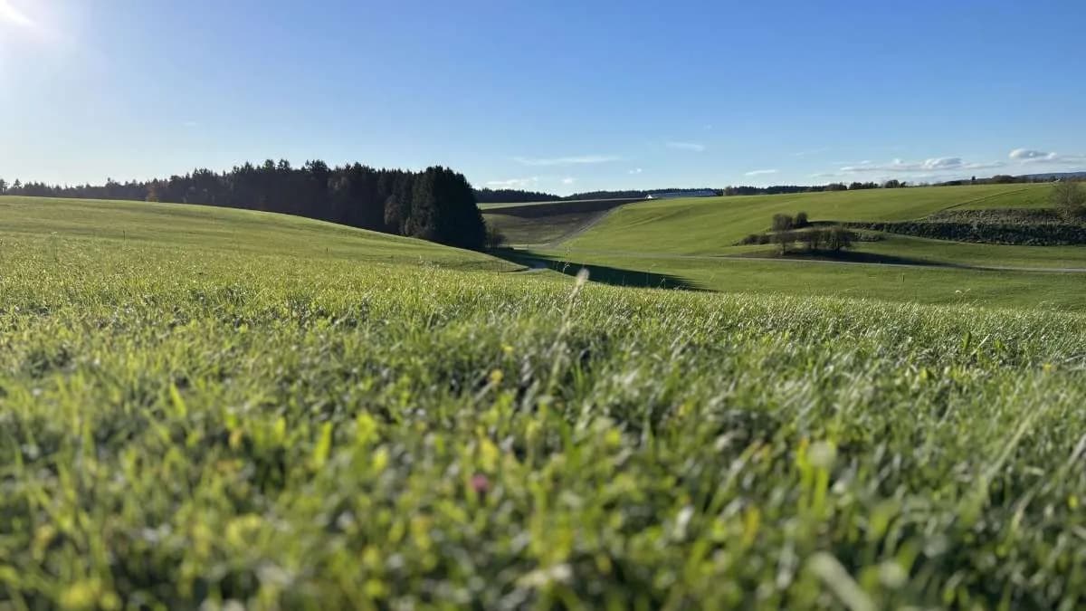 Grundstück kaufen in Vöcklabruck – 796 m², € 183.000 – Bild 2 von 3