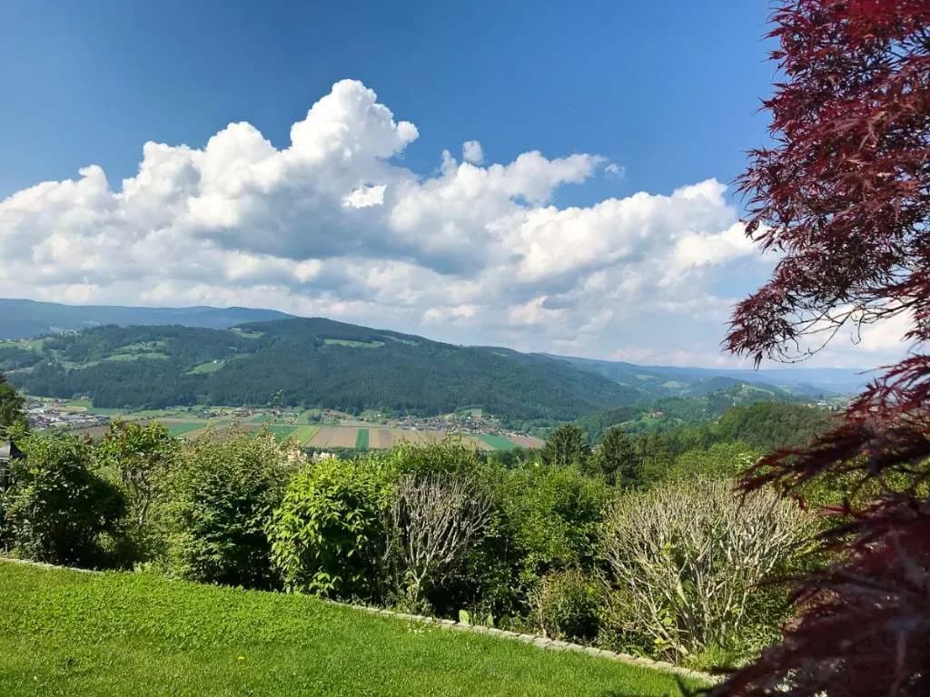 8-Zimmer-Haus kaufen in Voitsberg – 500 m², € 990.000 – Bild 7 von 17