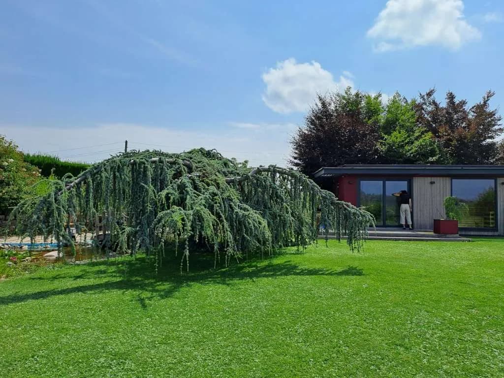 8-Zimmer-Haus kaufen in Voitsberg – 500 m², € 990.000 – Bild 9 von 17