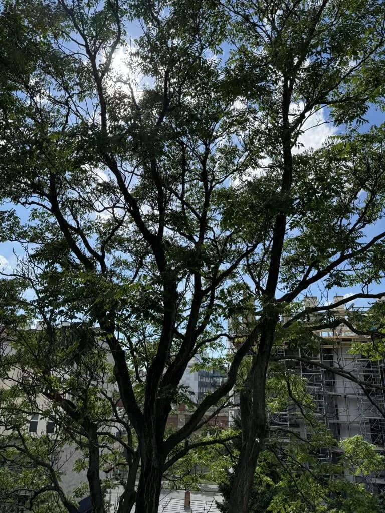 Wohnung kaufen in Wien – 70,74 m², € 148.554 – Bild 8 von 12