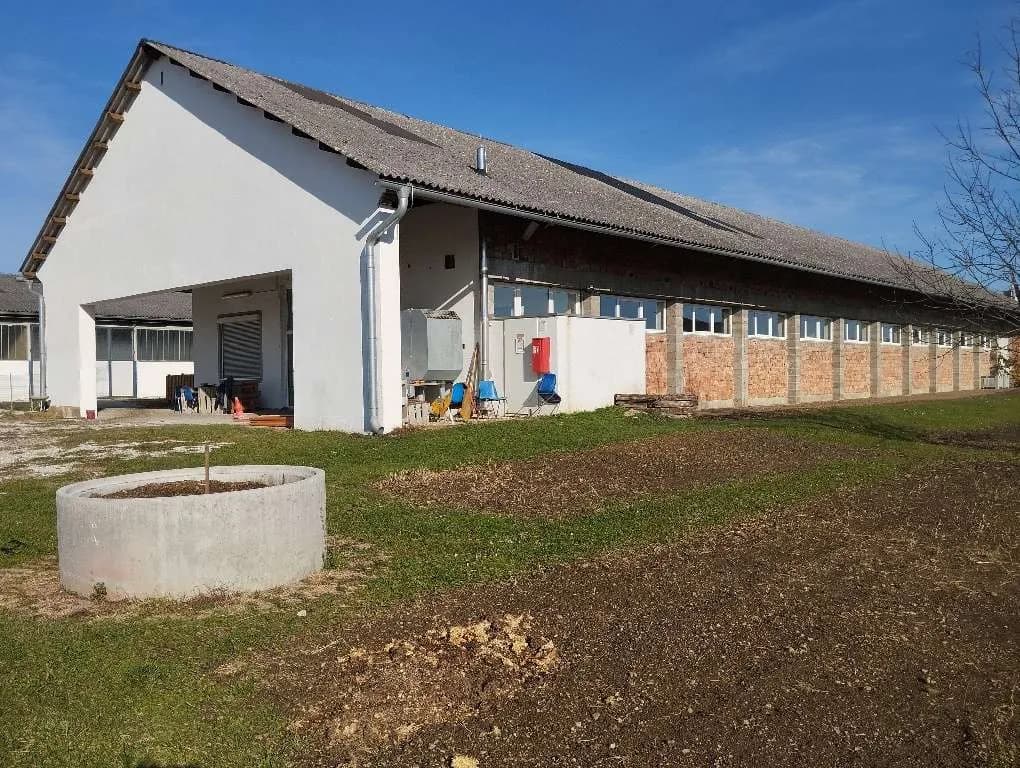 Gewerbeimmobilie mieten in Hartberg-Fürstenfeld – 615 m² – Bild 3 von 5