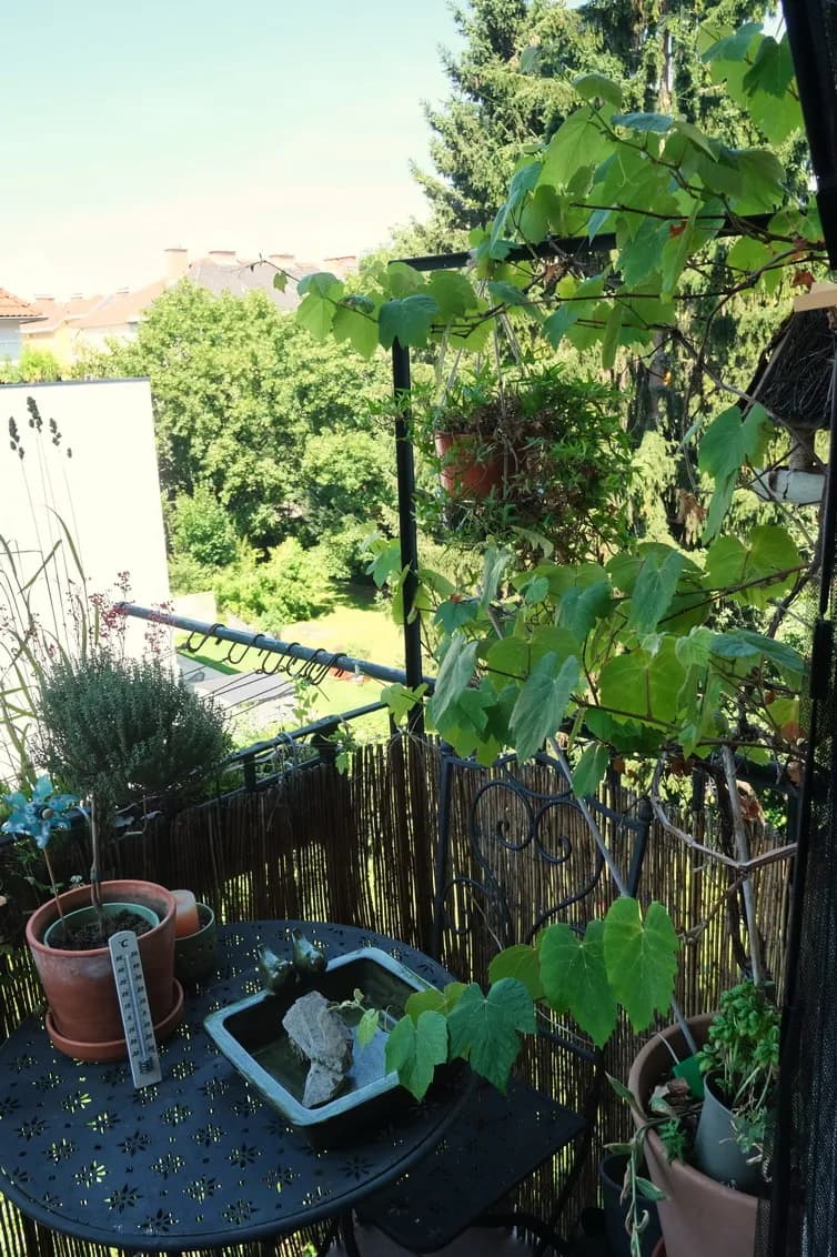 2-Zimmer-Wohnung mieten in Graz – 79 m², € 950 – Bild 12 von 13