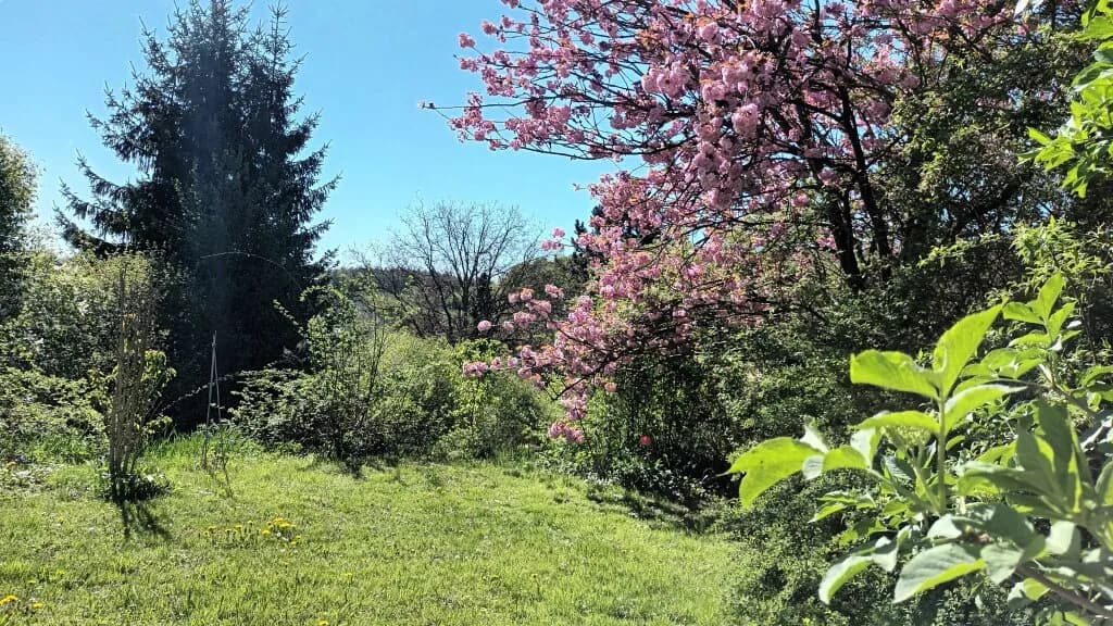 Haus kaufen in Krems Land – 1 927 m², € 499.000 – Bild 18 von 26