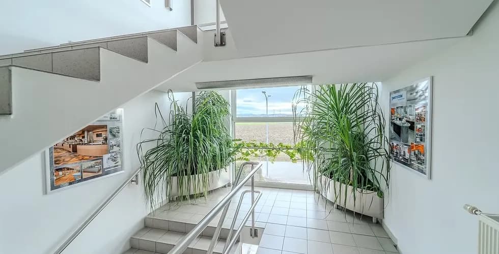 Gewerbeimmobilie mieten in Melk – 1 176 m² – Bild 10 von 17