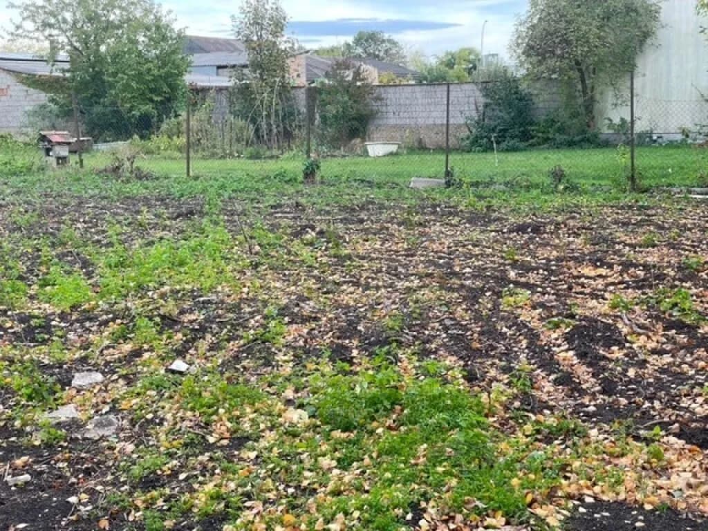 Grundstück kaufen in Neusiedl am See – 1 466 m², € 513.000