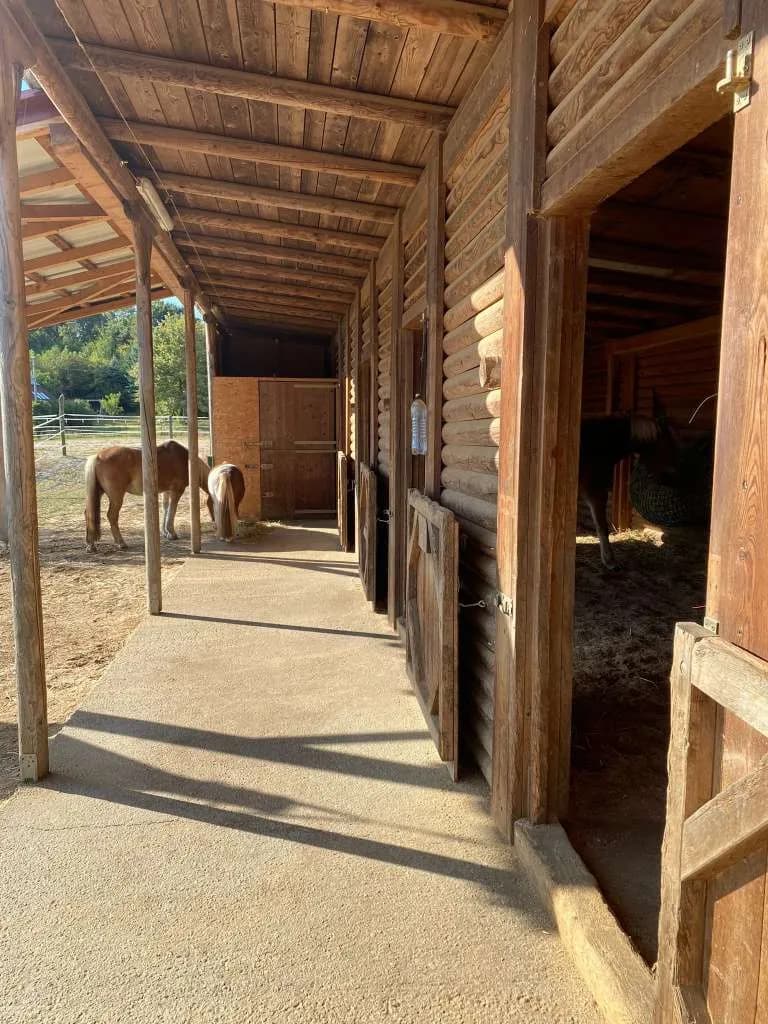 6-Zimmer-Gewerbeimmobilie kaufen in Güssing – 245 m², € 795.000 – Bild 25 von 34