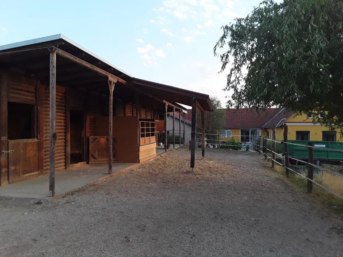 6-Zimmer-Gewerbeimmobilie kaufen in Güssing – 245 m², € 795.000 – Bild 28 von 34