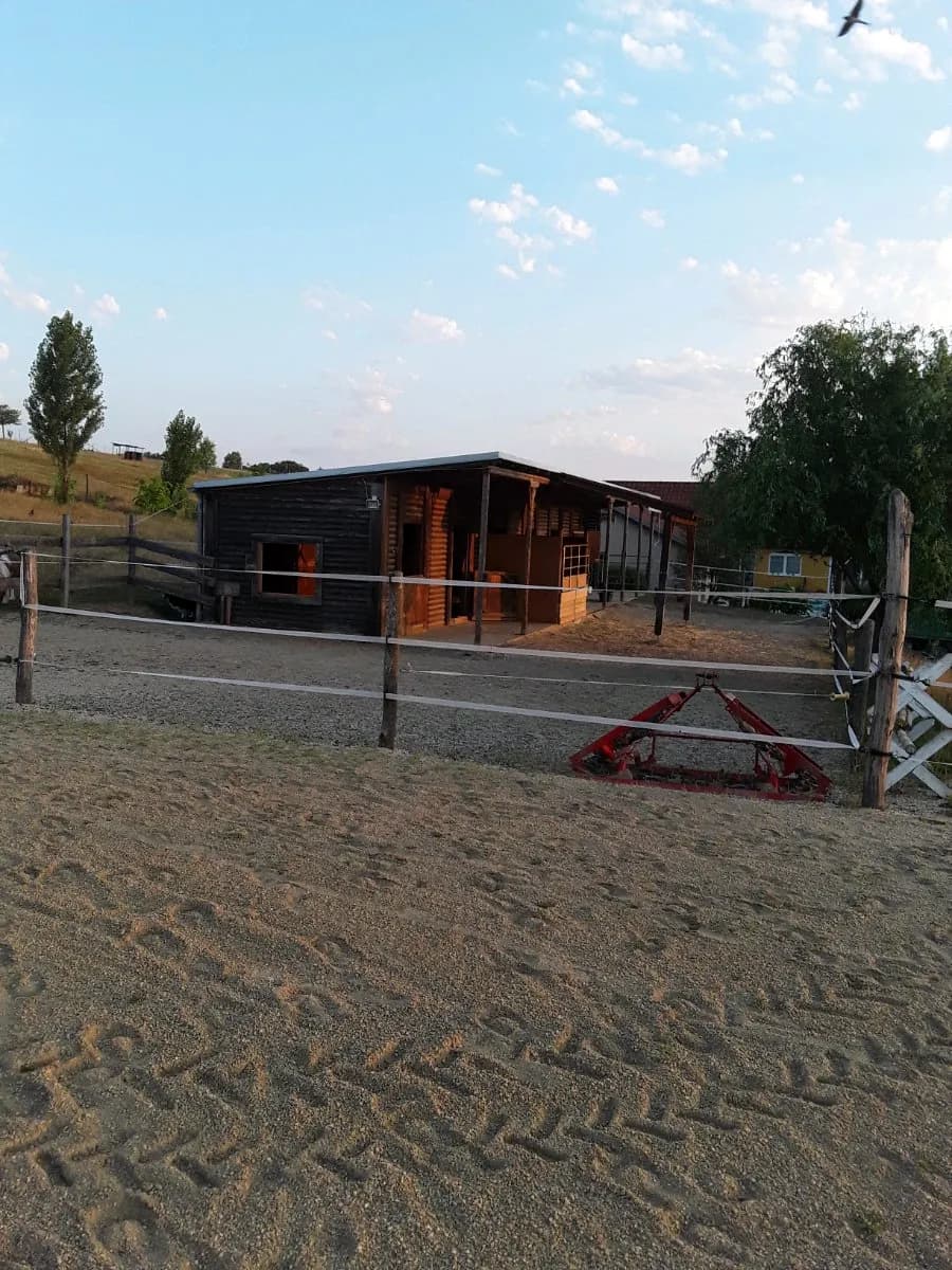 6-Zimmer-Gewerbeimmobilie kaufen in Güssing – 245 m², € 795.000 – Bild 29 von 34