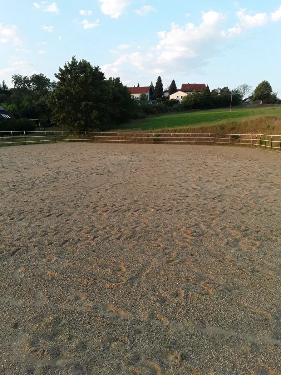 6-Zimmer-Gewerbeimmobilie kaufen in Güssing – 245 m², € 795.000 – Bild 31 von 34