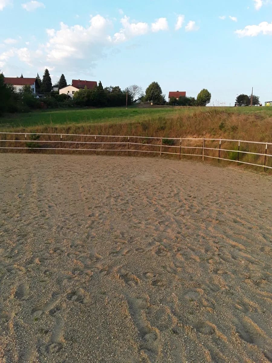 6-Zimmer-Gewerbeimmobilie kaufen in Güssing – 245 m², € 795.000 – Bild 32 von 34