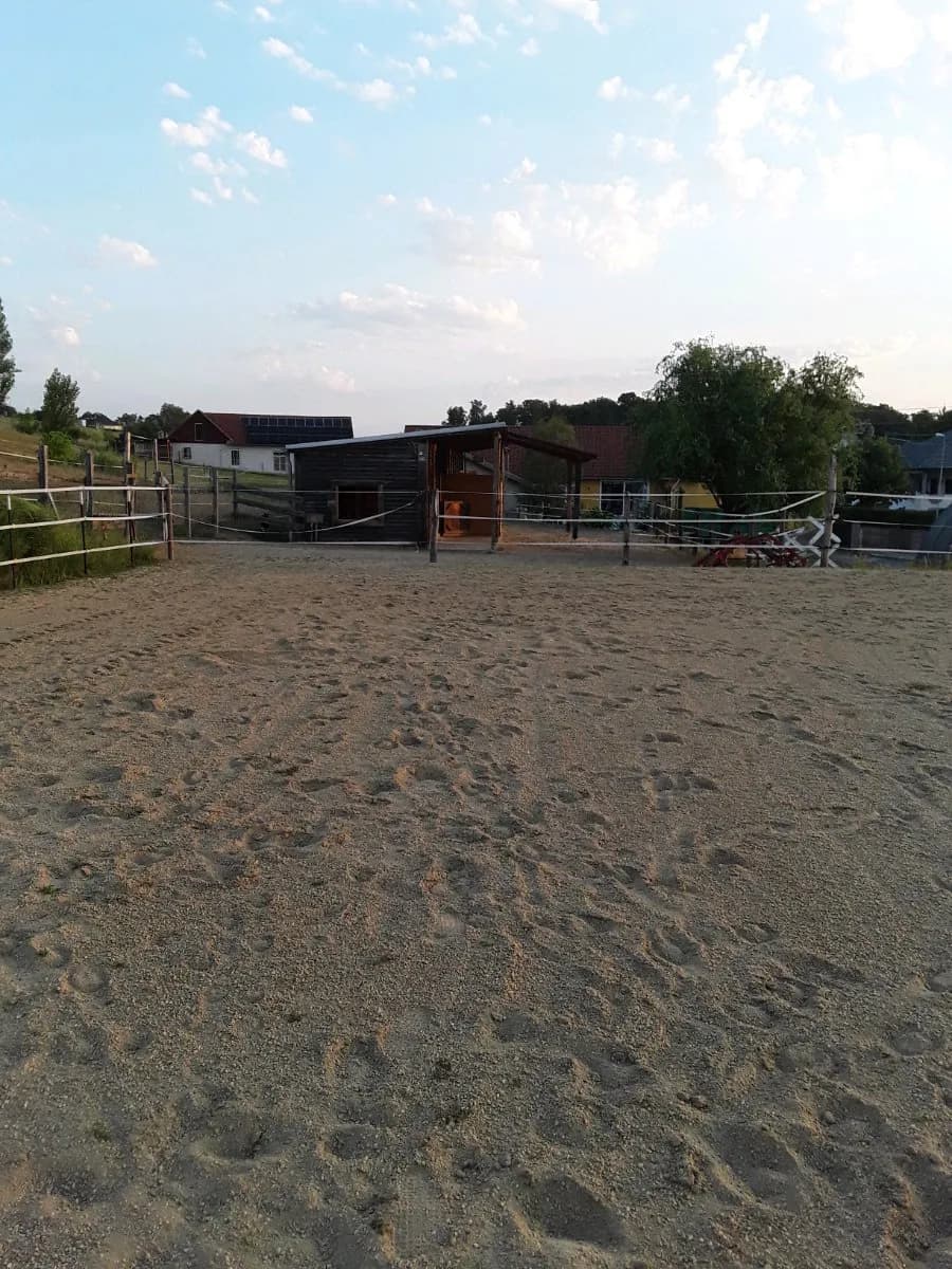 6-Zimmer-Gewerbeimmobilie kaufen in Güssing – 245 m², € 795.000 – Bild 33 von 34