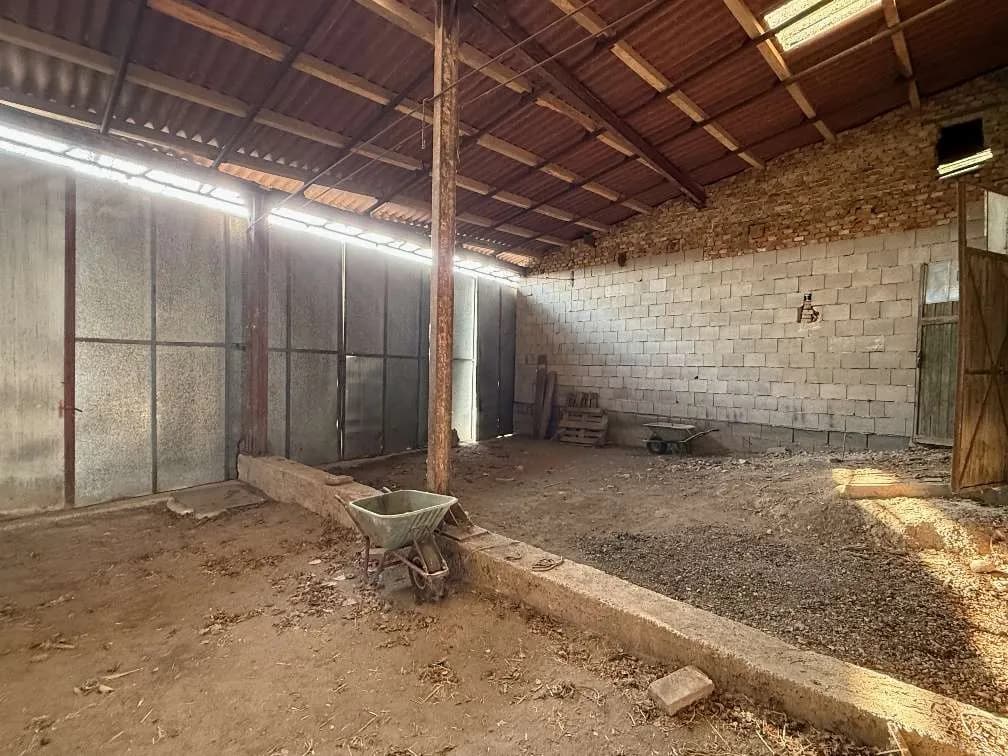 Immobilie kaufen in Mistelbach – 120 m² – Bild 12 von 14