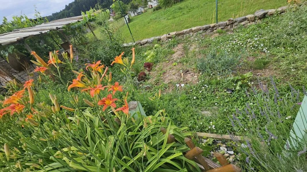 5-Zimmer-Haus kaufen in Graz-Umgebung – 150 m², € 479.000 – Bild 50 von 52
