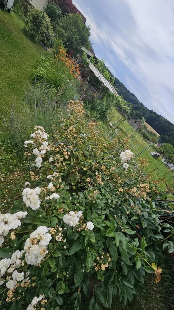 5-Zimmer-Haus kaufen in Graz-Umgebung – 150 m², € 479.000 – Bild 51 von 52