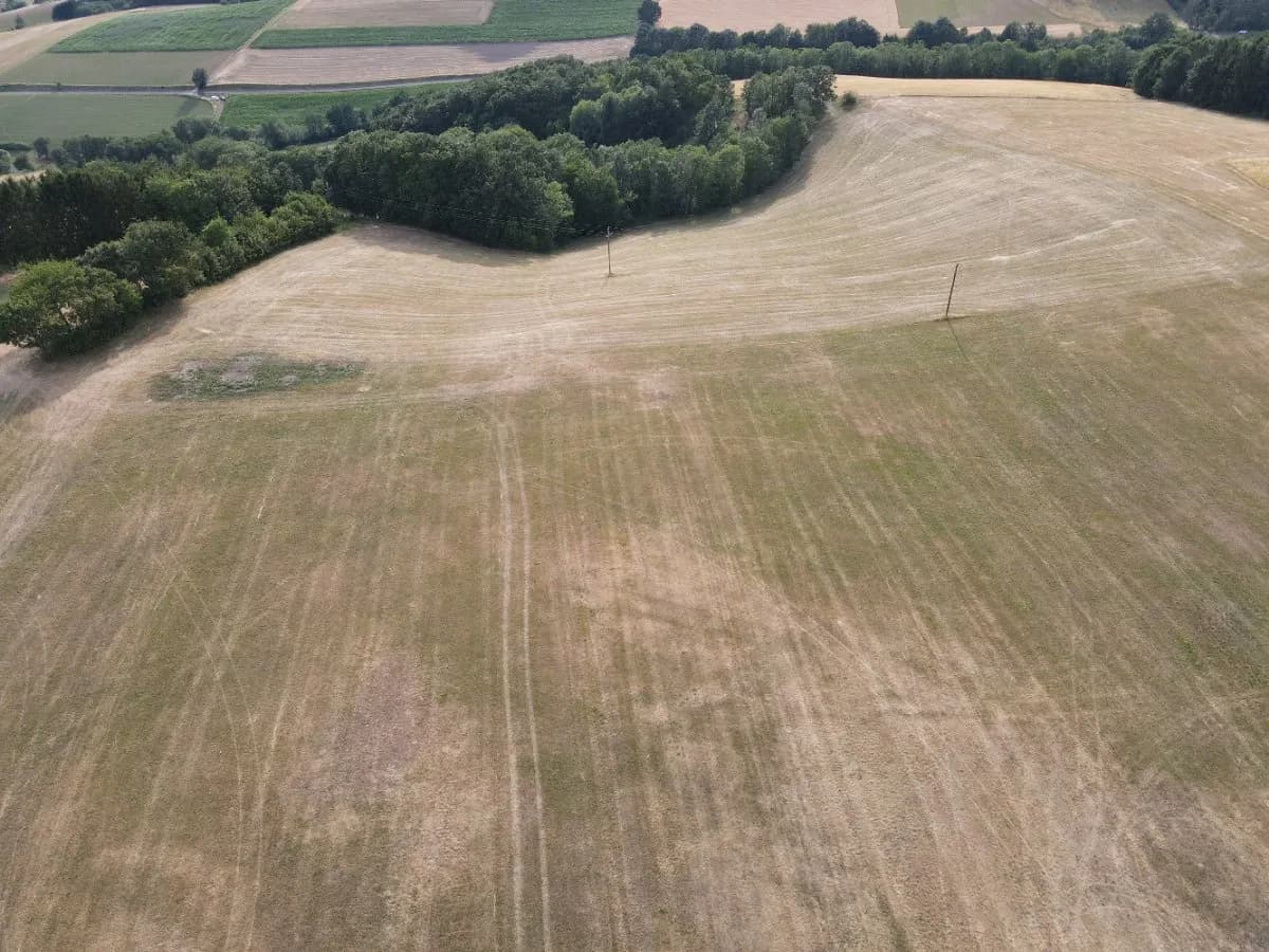 Grundstück kaufen in Wiener Neustadt Land – 60 000 m², € 495.000 – Bild 7 von 12