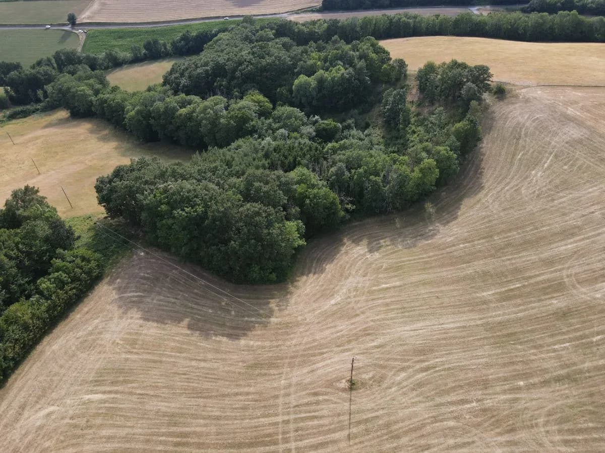 Grundstück kaufen in Wiener Neustadt Land – 60 000 m², € 495.000 – Bild 8 von 12