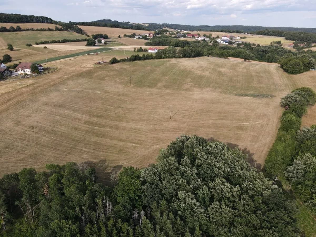 Grundstück kaufen in Wiener Neustadt Land – 60 000 m², € 495.000 – Bild 9 von 12