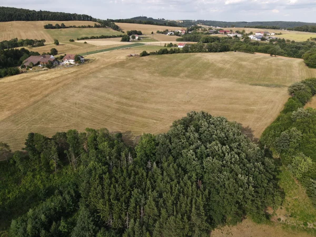 Grundstück kaufen in Wiener Neustadt Land – 60 000 m², € 495.000 – Bild 10 von 12