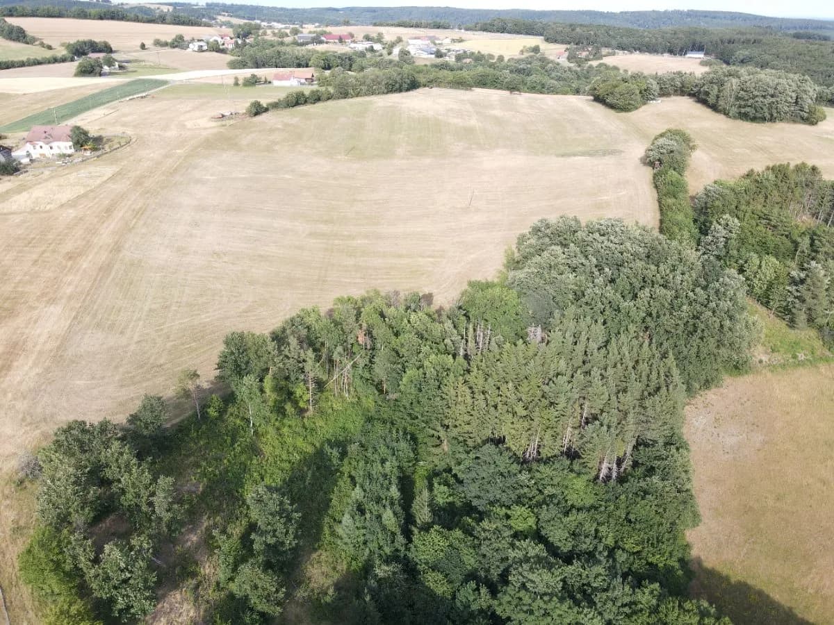 Grundstück kaufen in Wiener Neustadt Land – 60 000 m², € 495.000 – Bild 11 von 12