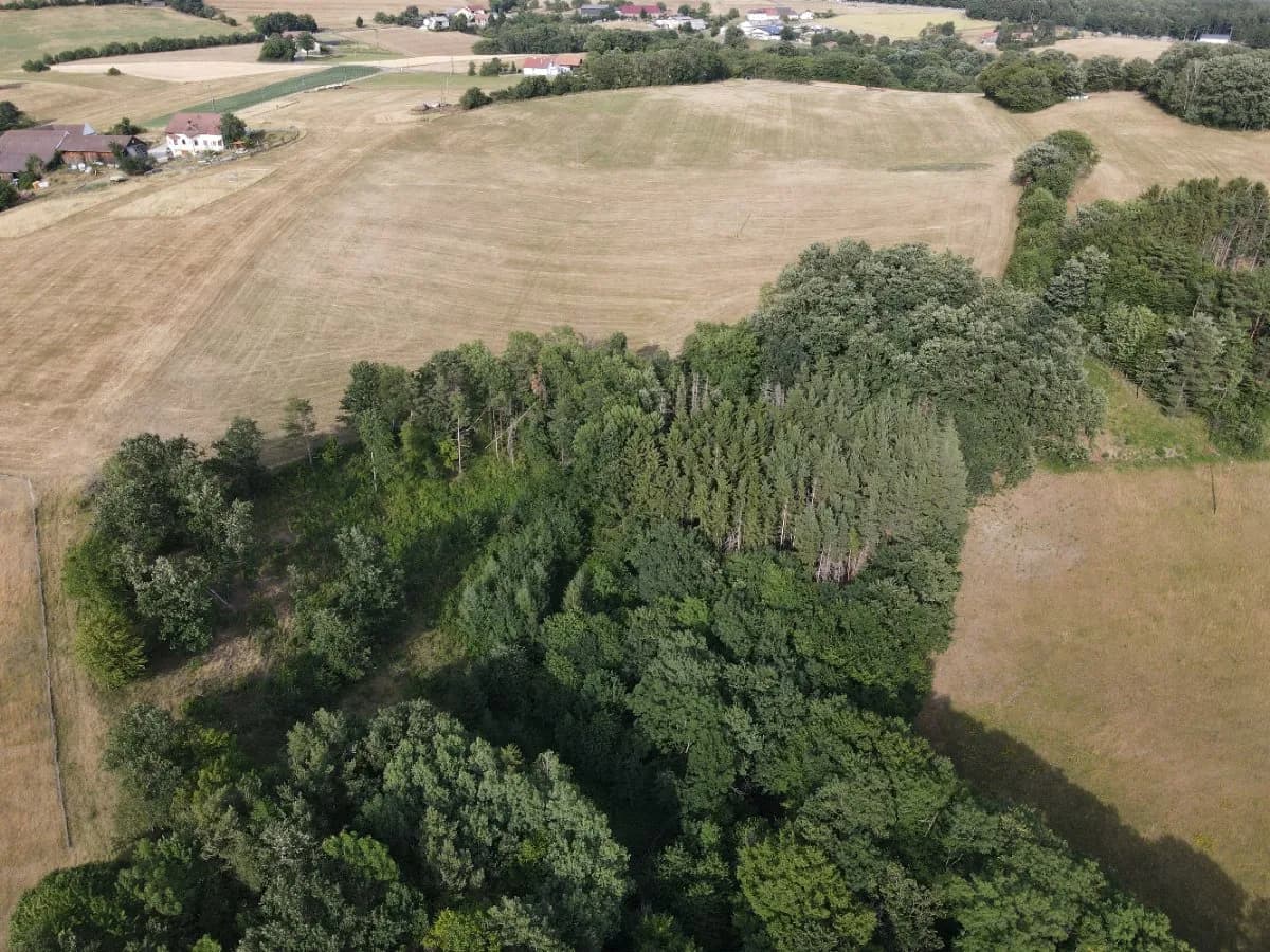 Grundstück kaufen in Wiener Neustadt Land – 60 000 m², € 495.000 – Bild 12 von 12