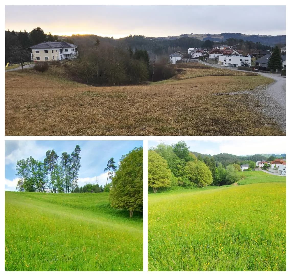 Grundstück kaufen in Freistadt – 975 m², € 69.000