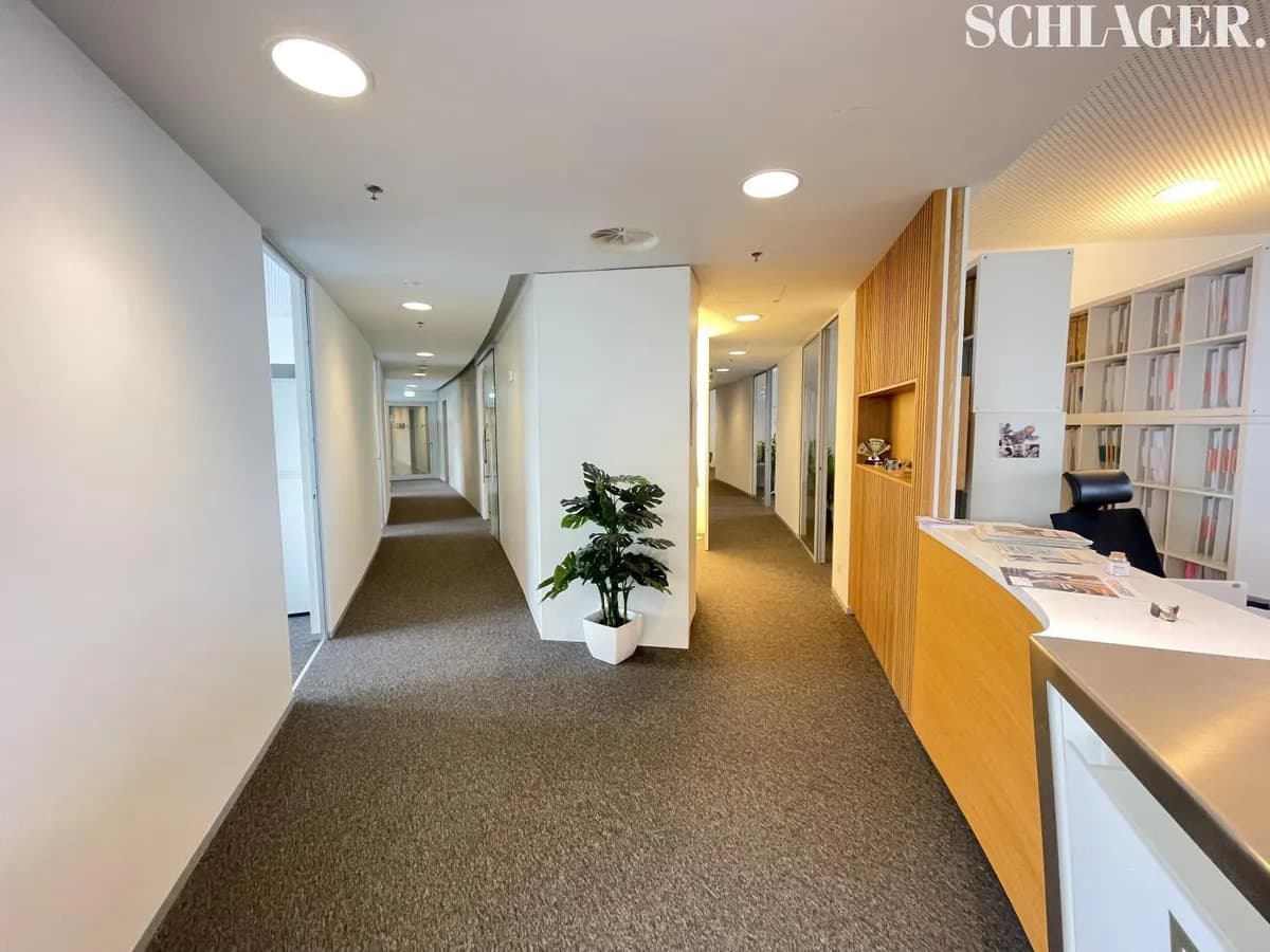 Gewerbeimmobilie mieten in Graz – 766 m², € 11.770 – Bild 4 von 7