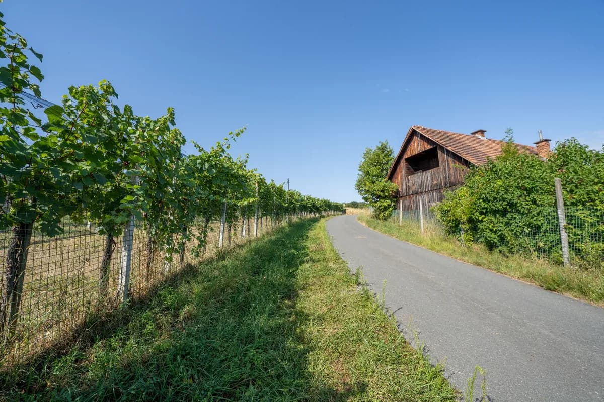 Haus kaufen in Leibnitz – 112 m², € 512.480 – Bild 3 von 6