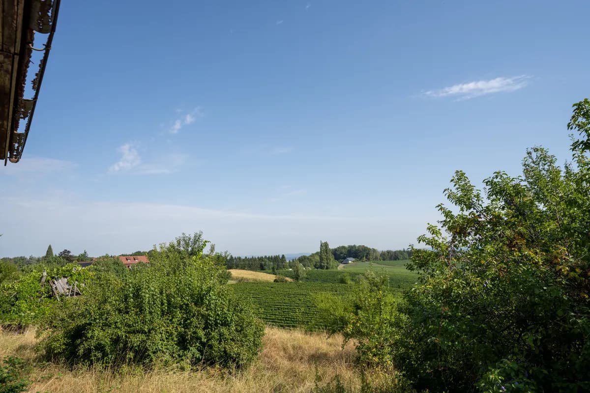 Haus kaufen in Leibnitz – 112 m², € 512.480 – Bild 4 von 6