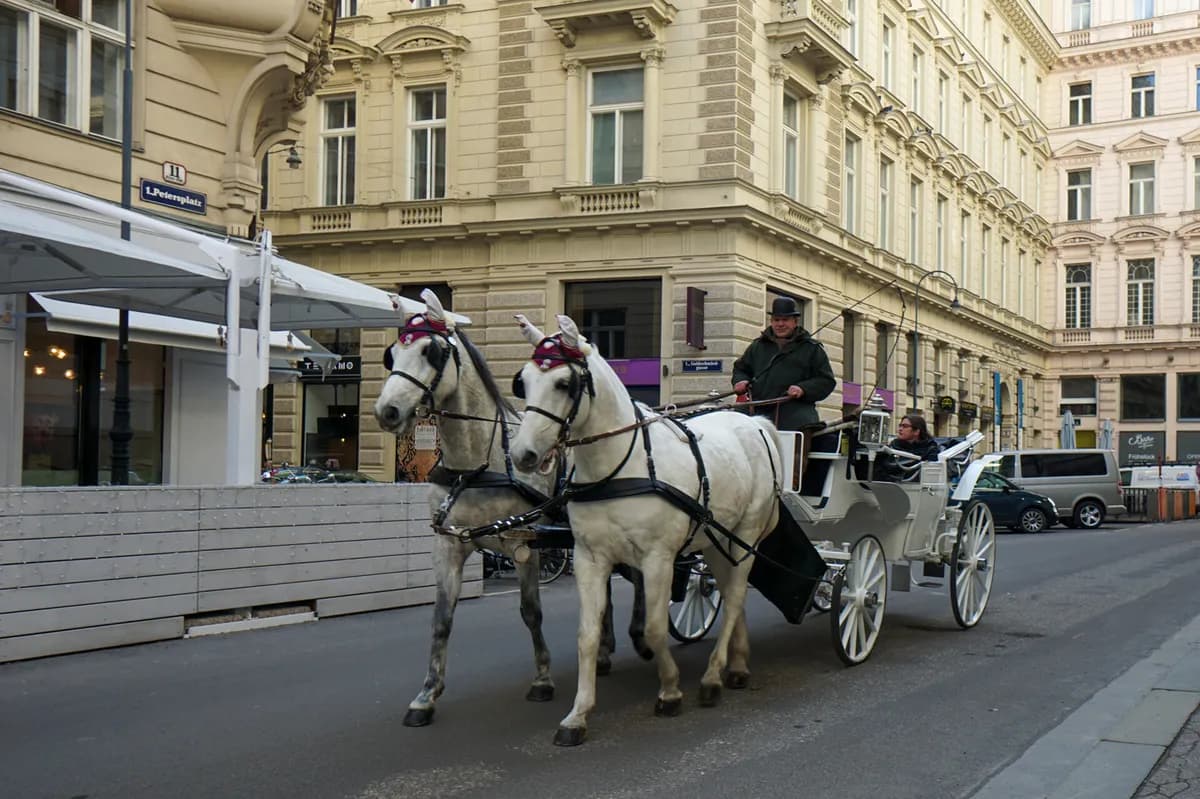 7-Zimmer-Wohnung mieten in Wien – 300 m², € 9.050 – Bild 7 von 9