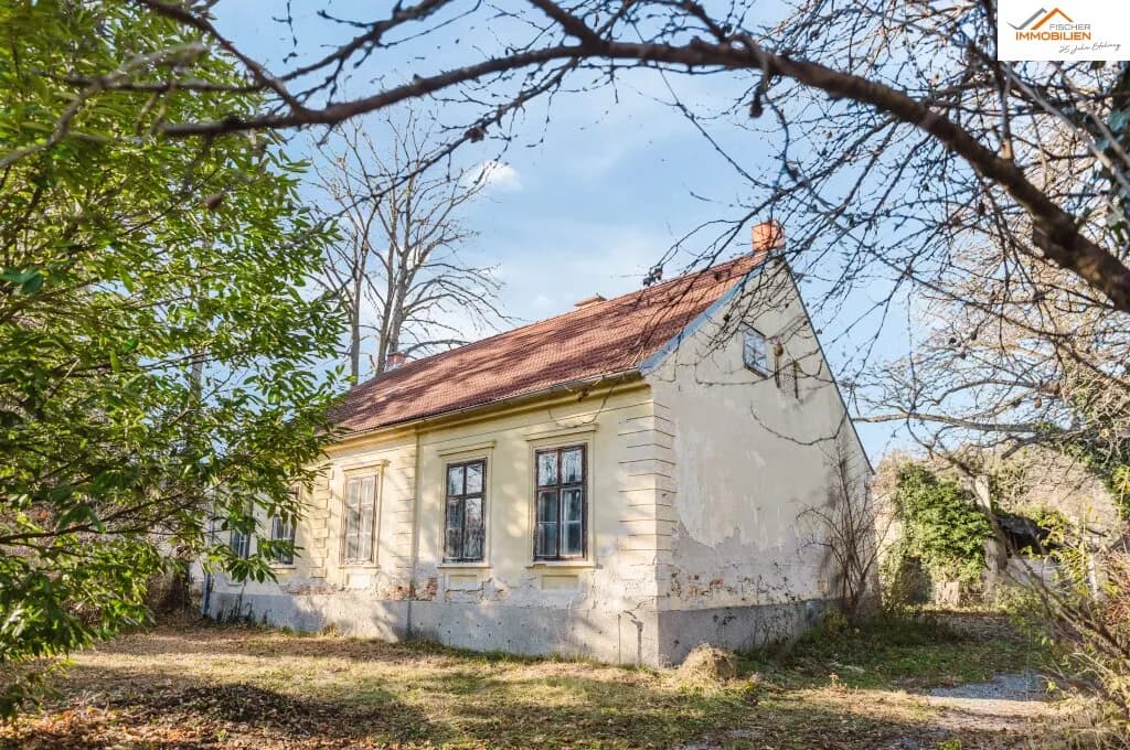 Grundstück kaufen in Neunkirchen – 3 690 m², € 449.000 – Bild 4 von 8
