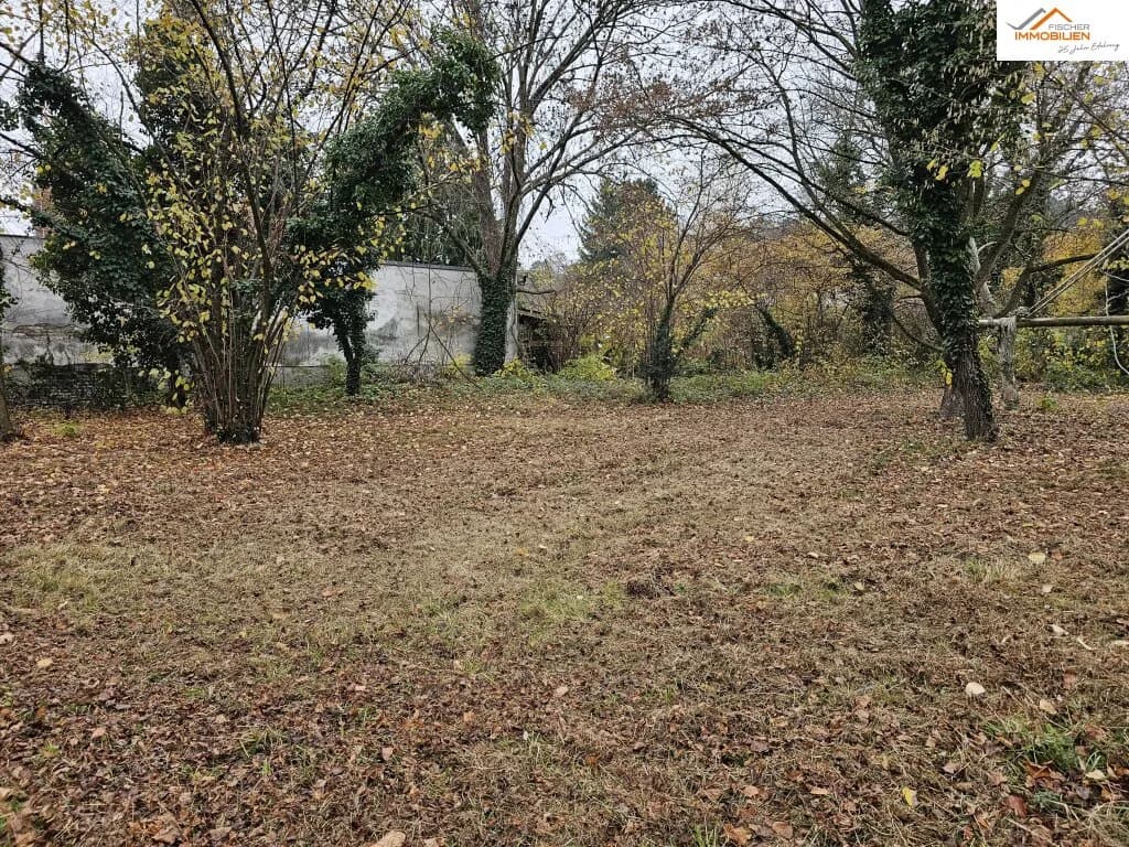 Grundstück kaufen in Neunkirchen – 3 690 m², € 449.000 – Bild 6 von 8