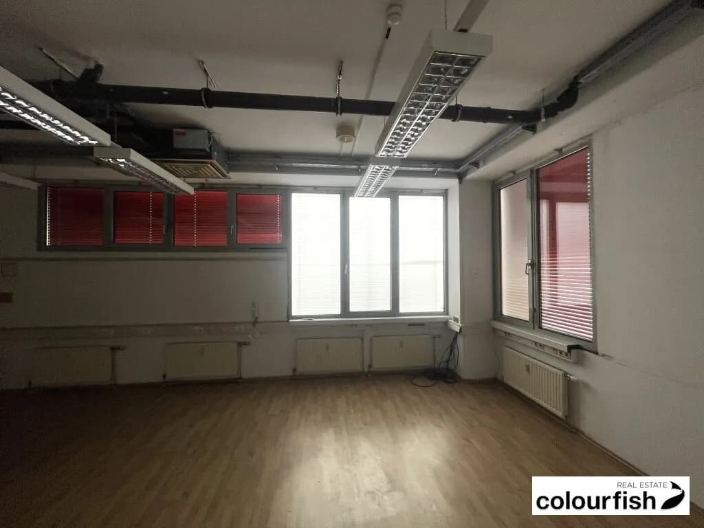 Gewerbeimmobilie mieten in Wien – 1 486 m², € 13.380 – Bild 4 von 8