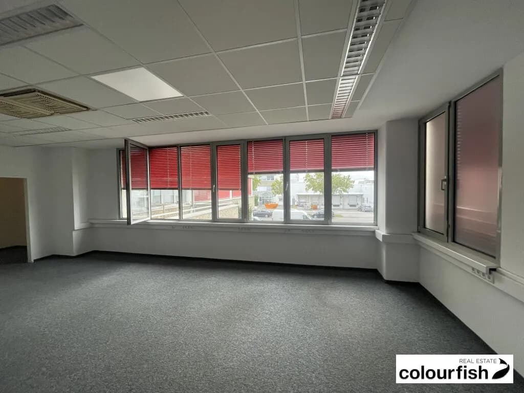 Gewerbeimmobilie mieten in Wien – 1 486 m², € 13.380 – Bild 6 von 8