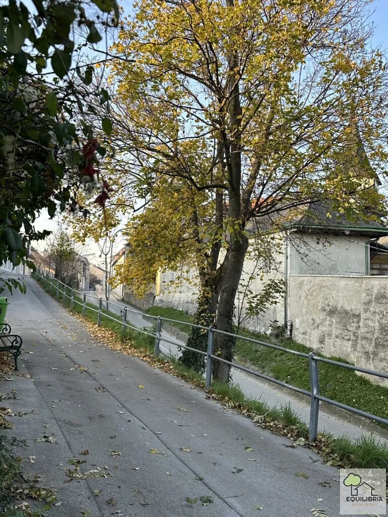 Haus kaufen in Tulln – 339 m², € 1.590.000 – Bild 10 von 19