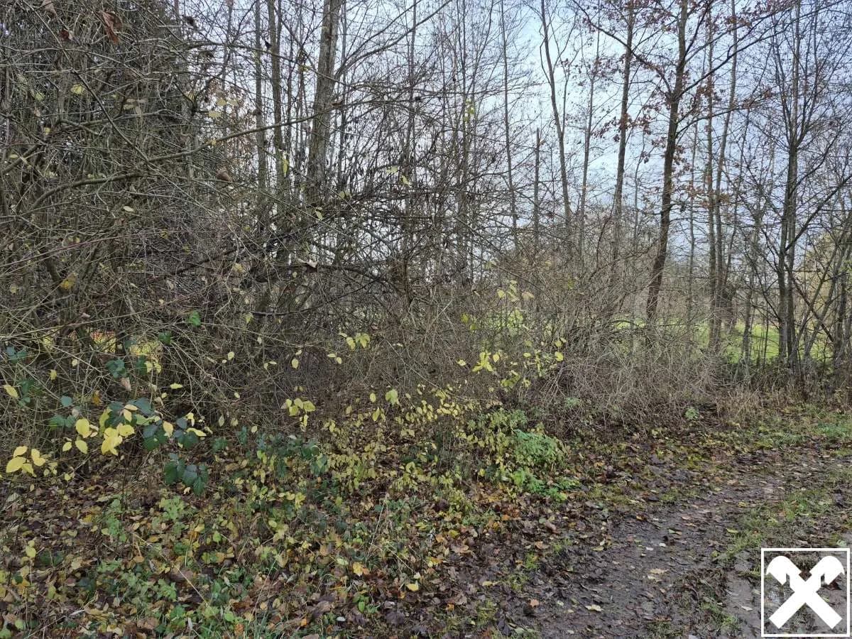 Grundstück kaufen in Braunau am Inn – 9 192 m², € 120.000 – Bild 4 von 4