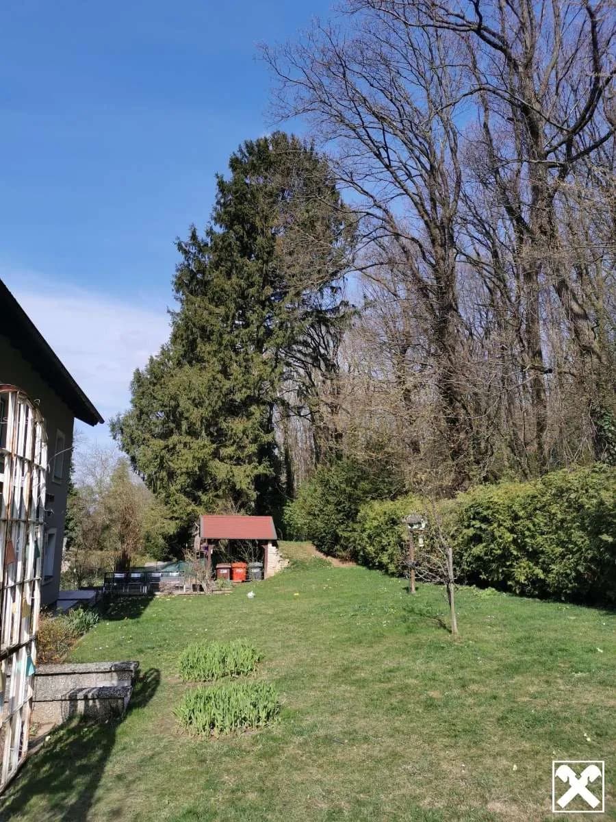 10-Zimmer-Haus kaufen in Korneuburg – 232 m², € 599.000 – Bild 32 von 37