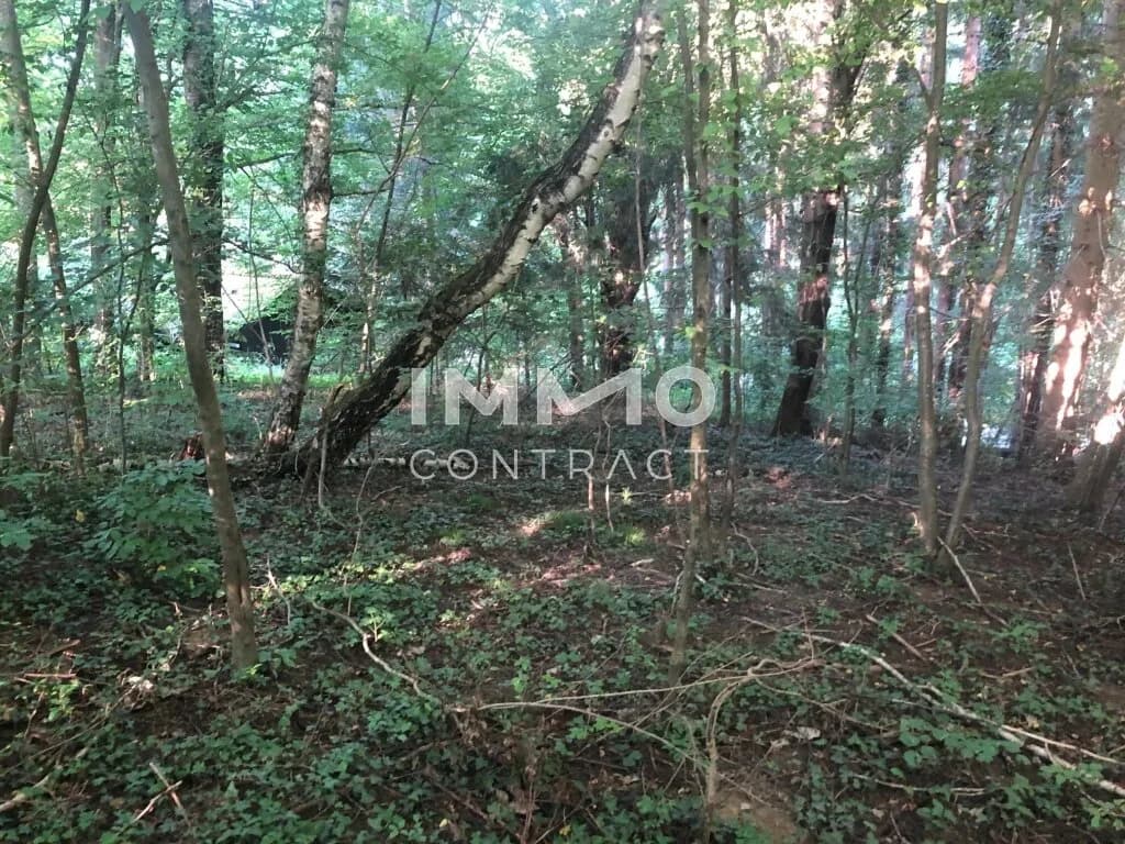 Grundstück kaufen in Sankt Pölten Land – 3 409 m², € 530.000 – Bild 2 von 9